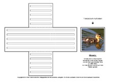 Lapbook-Minibuch-Faltform-Stockentenküken-1-5.pdf